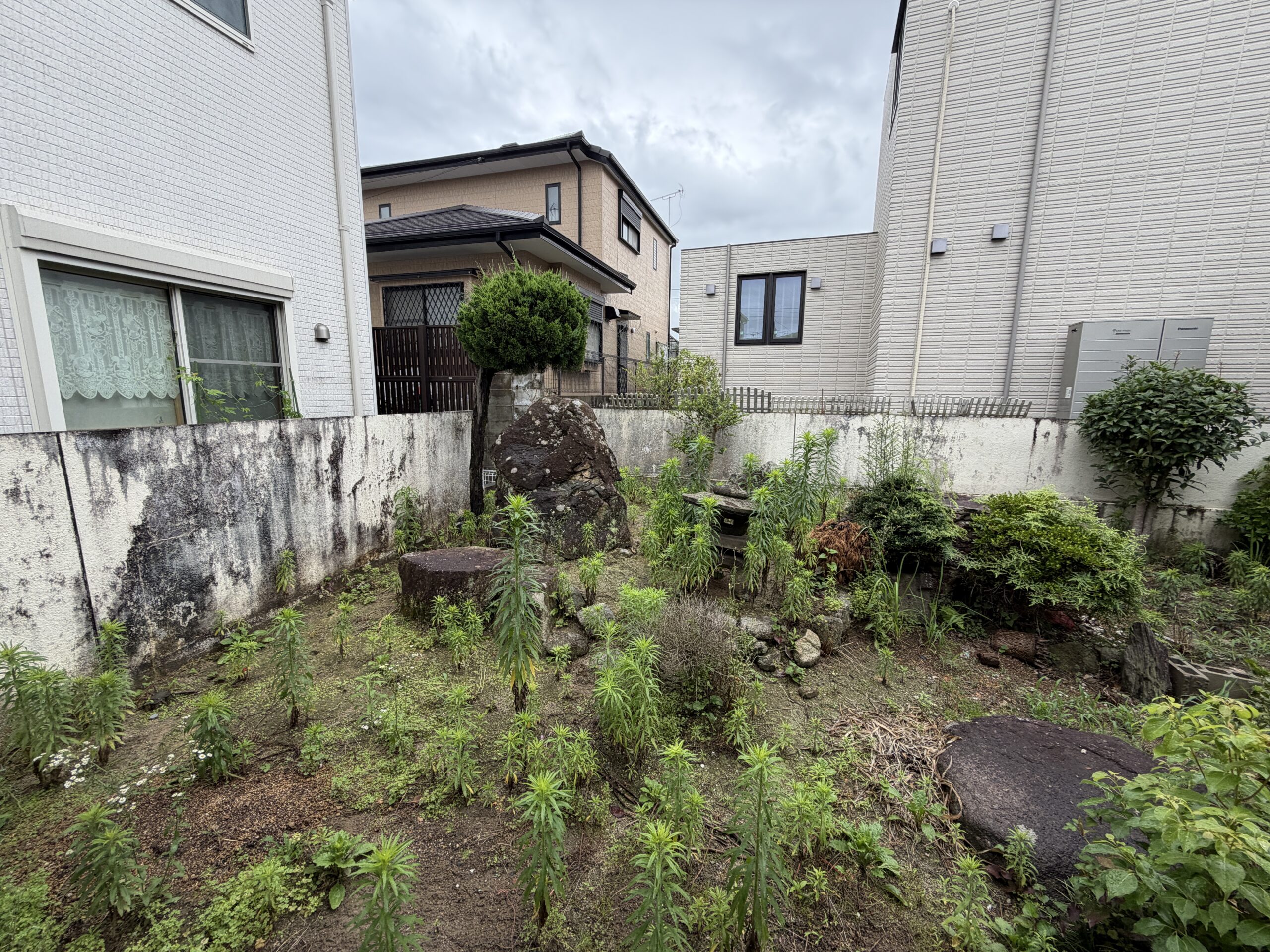 庭石と庭木が配された、手入れの行き届いた裏庭の様子