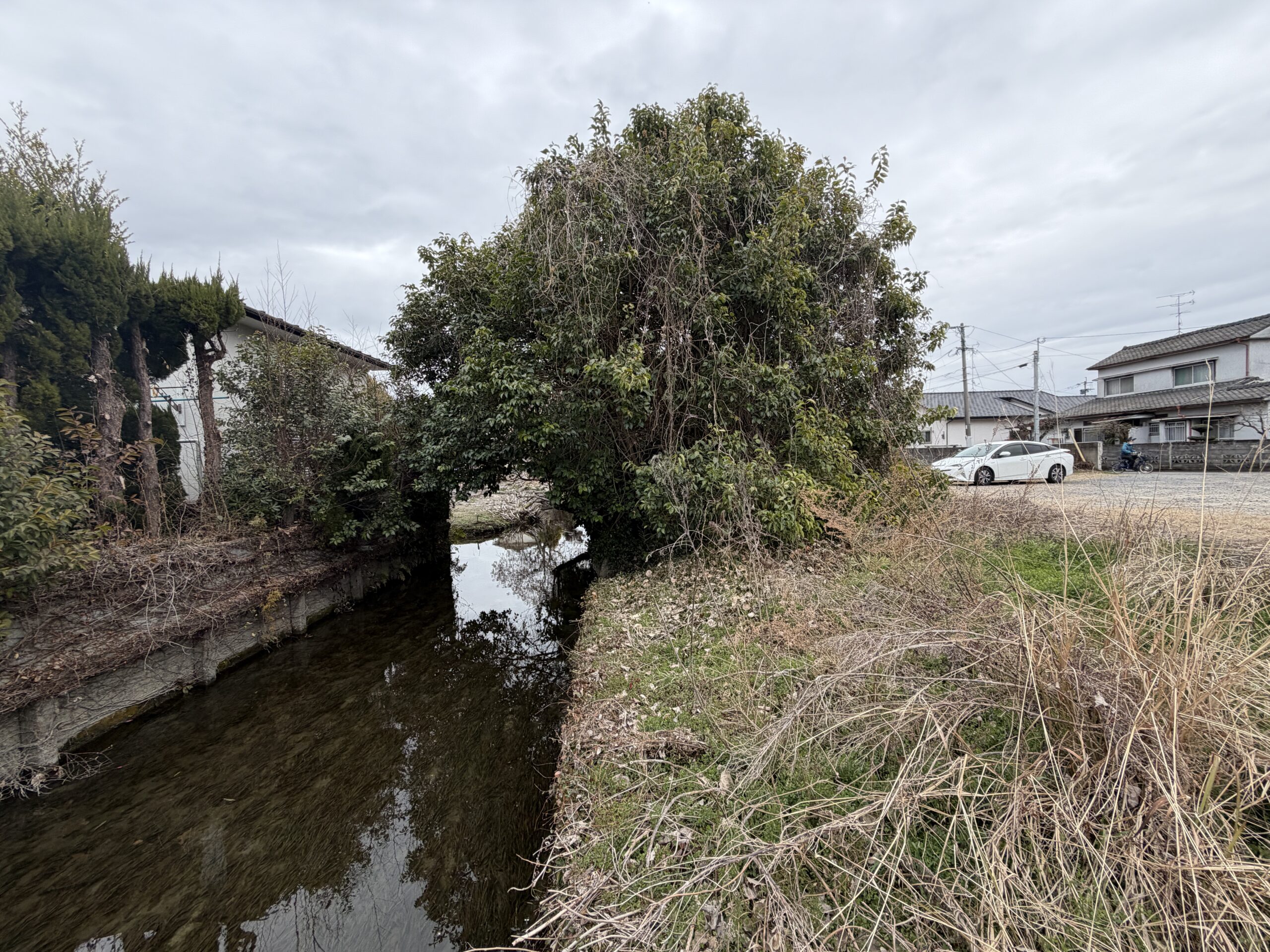 佐賀市水ケ江、敷地の脇を流れるクリーク（水路）と覆いかぶさる草木