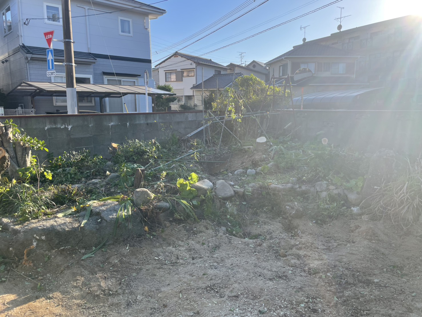 木々を切り、すっきりとした庭の地面